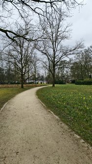 IMG_20250312_095128.jpg