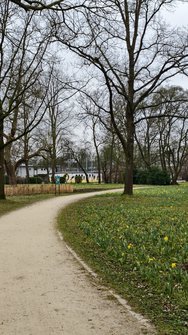 IMG_20250312_095130.jpg