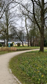 IMG_20250312_095131.jpg