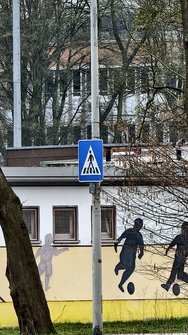 IMG_20250312_095139.jpg