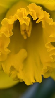 IMG_20250312_100801.jpg