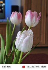IMG_20250313_083024.jpg