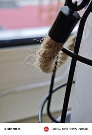 IMG_20250313_083059.jpg