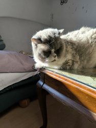 IMG_20250304_161240.jpg