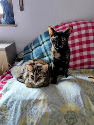 IMG_20250225_171330~2.jpg
