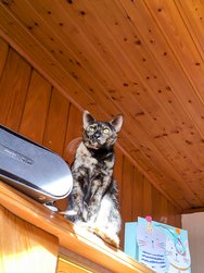 IMG_20250219_111459~2.jpg