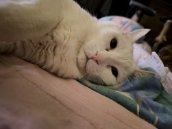 IMG_20250202_200645.jpg