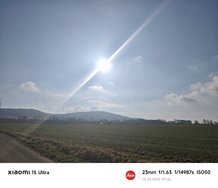MVIMG_20250313_093611.jpg