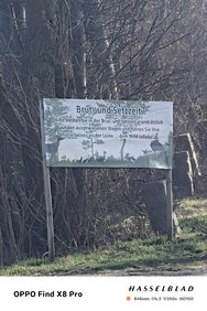 IMG20250313093909.jpg