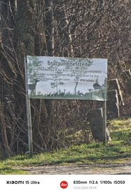 MVIMG_20250313_093947.jpg
