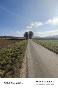 IMG20250313093924.jpg
