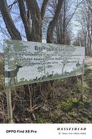 IMG20250313094126.jpg