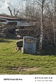 IMG20250313094458.jpg