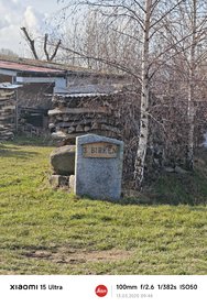 MVIMG_20250313_094416.jpg