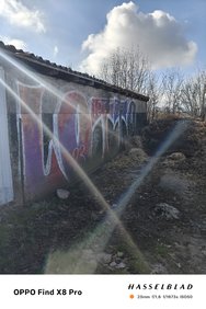 IMG20250313095424.jpg