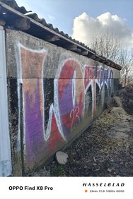 IMG20250313095504.jpg