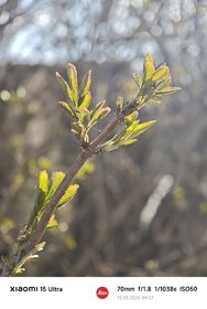 MVIMG_20250313_095737.jpg