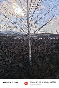 MVIMG_20250313_095945.jpg