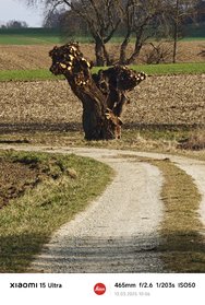 MVIMG_20250313_100615.jpg