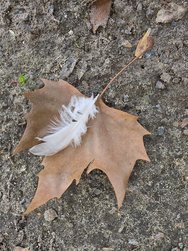 20250313_111214.jpg