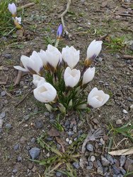 20250313_111632.jpg