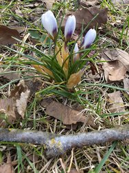 20250313_111902.jpg