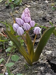 20250313_112931.jpg
