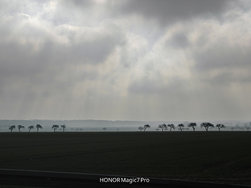 IMG_20250313_103636.jpg
