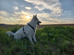 IMG_20240730_200245.jpg