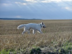 IMG_20240722_185951.jpg