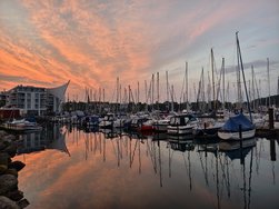 IMG_20240627_221455.jpg