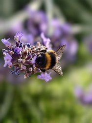 IMG_20240714_190631.jpg