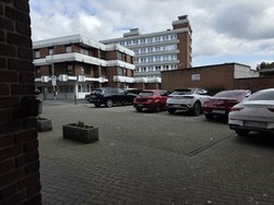 20250313_131131.jpg