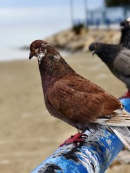 IMG_20250313_160120.jpg