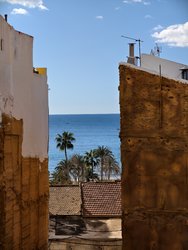 IMG_20250312_095818.jpg