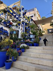 IMG_20250311_104338.jpg