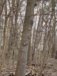 IMG20250313164234.jpg