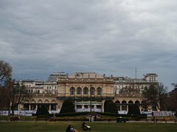 IMG_20250311_161851.jpg