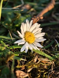 IMG_20250308_173420.jpg