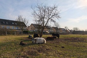 IMG_20250308_154930.jpg