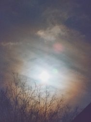 20250313_215024326.JPG