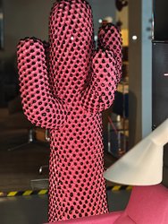 IMG_20250313_220800.jpg