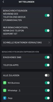 WhatsApp Bild 2025-03-13 um 22.56.37_f5cddf8e.jpg