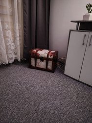 IMG20250314054655.jpg