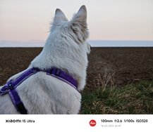 IMG_20250314_064748.jpg