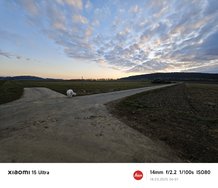 IMG_20250314_065129.jpg