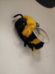 IMG_20250314_110220.jpg