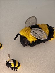 IMG_20250314_110232.jpg