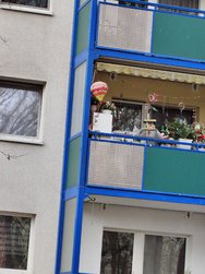 IMG20250314113535.jpg