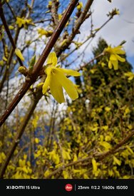 IMG_20250314_180224.jpg